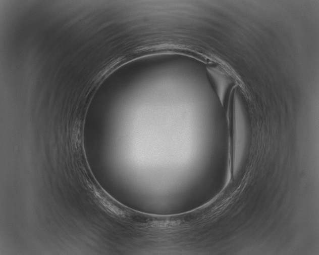 X0000082930793200702222218