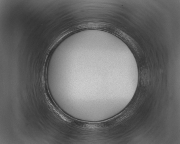 X0000082930794200702222218