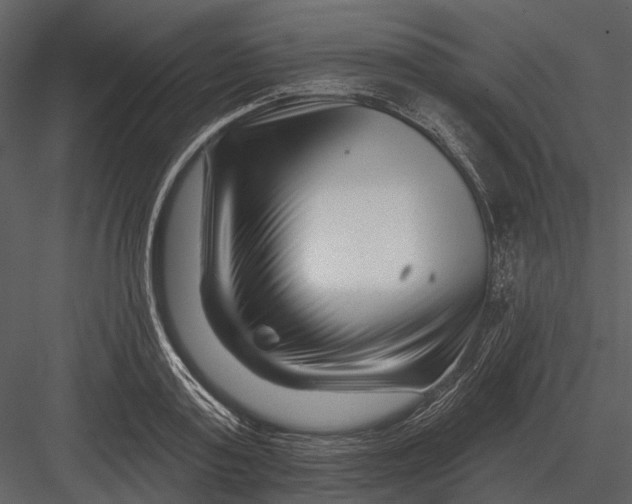 X0000082930795200702222218