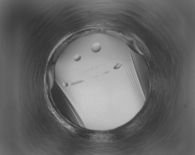 X0000082930796200702222218