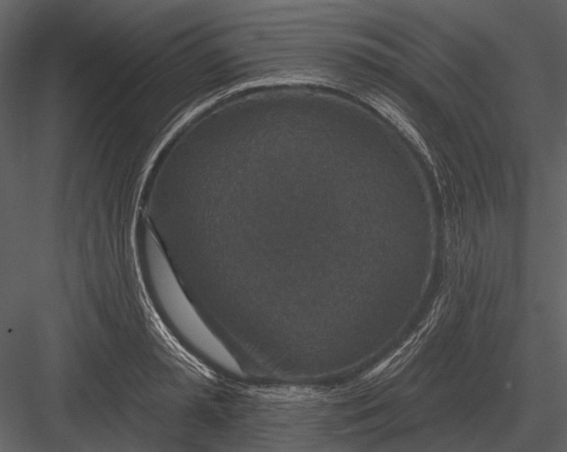 X0000082930797200702222218