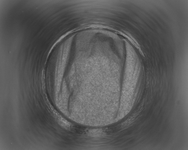 X0000082930798200702222218