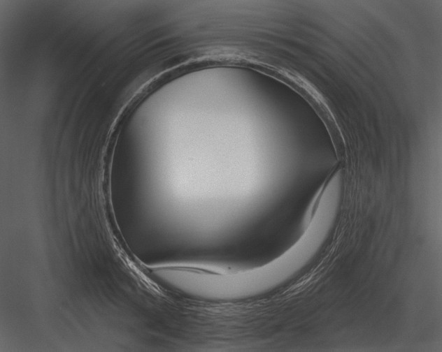 X0000082930799200702222218