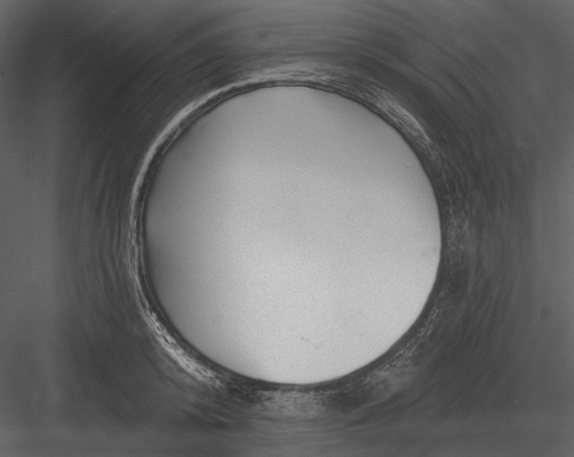 X0000082930800200702222218