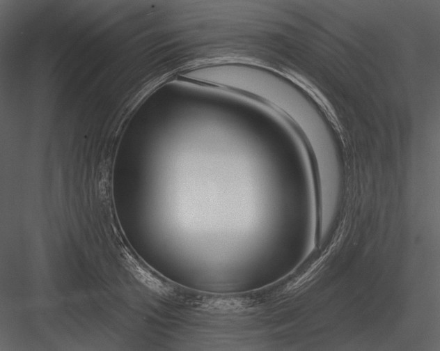 X0000082930801200702222218