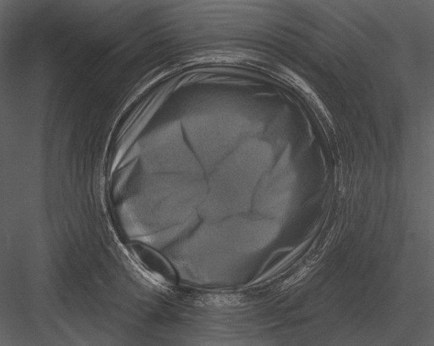 X0000082930802200702222218