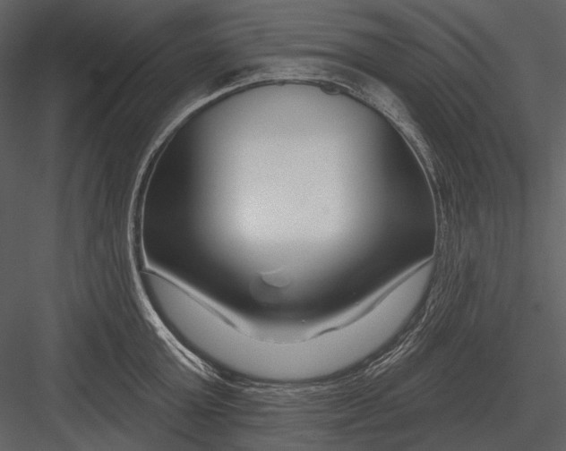 X0000082930803200702222218