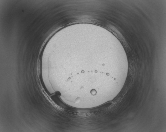 X0000082930804200702222218