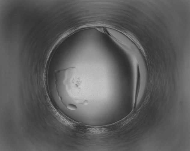 X0000082930805200702222218