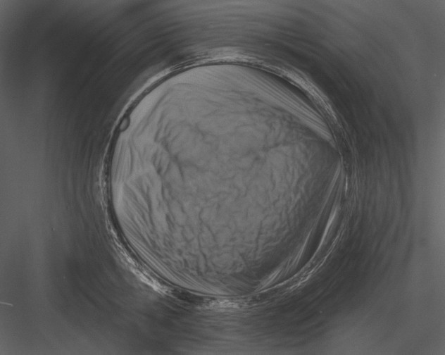 X0000082930806200702222218