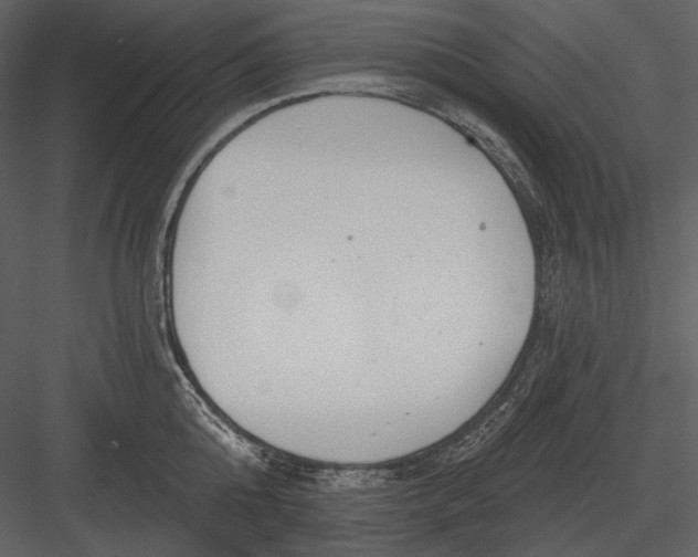 X0000082930808200702222218