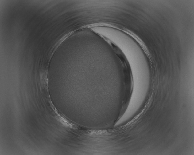 X0000082930809200702222218