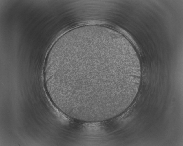 X0000082930810200702222218