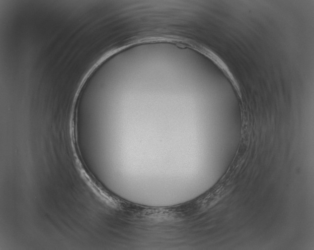 X0000082930811200702222218