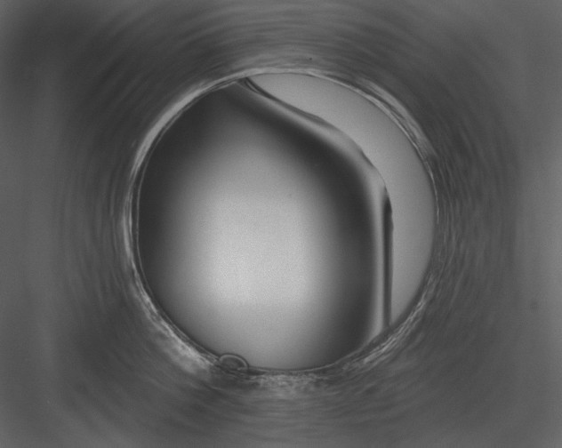 X0000082930812200702222218