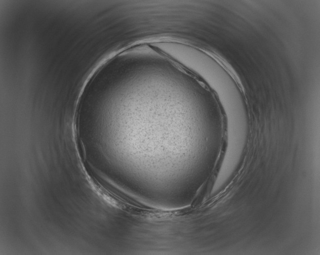 X0000082930813200702222218