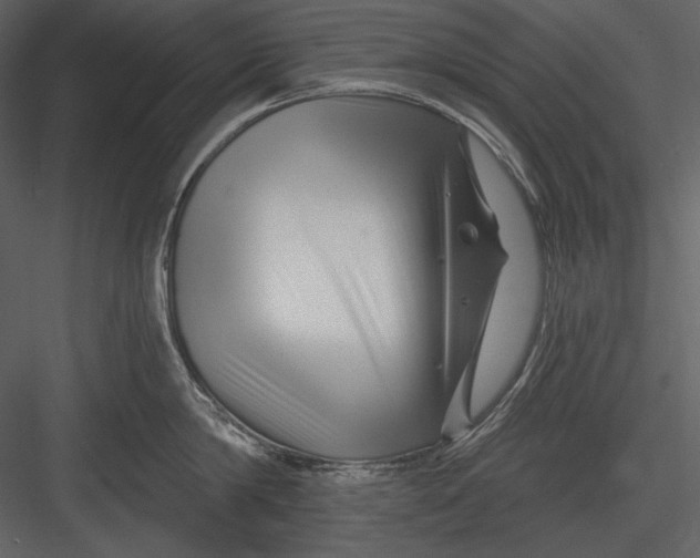 X0000082930814200702222218