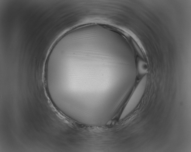 X0000082930815200702222218