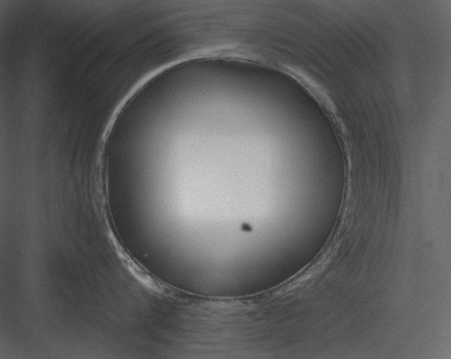 X0000082930816200702222218