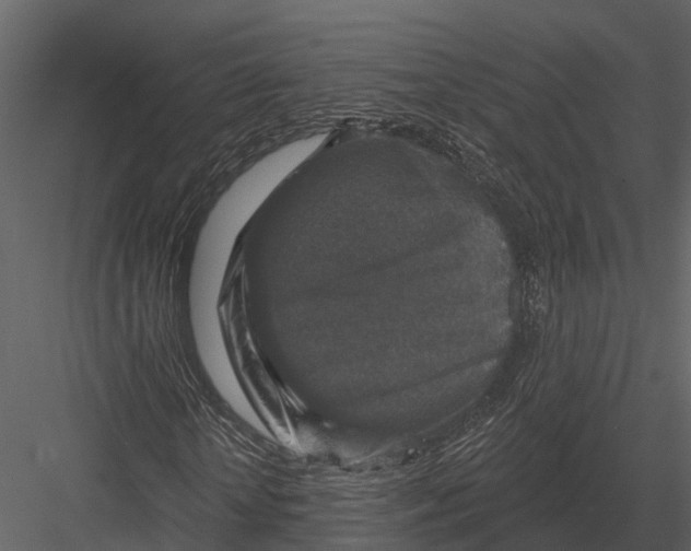 X0000082930818200702222217