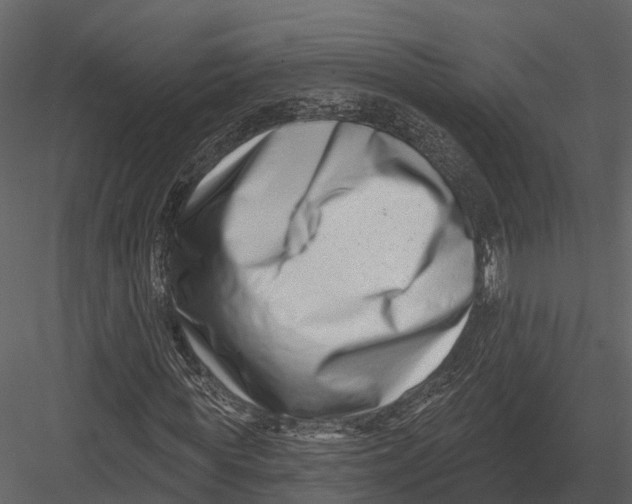 X0000082930819200702222217