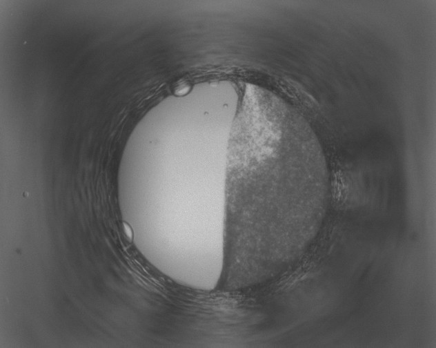 X0000082930820200702222217