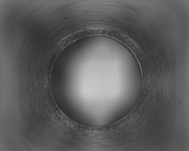 X0000082930821200702222217