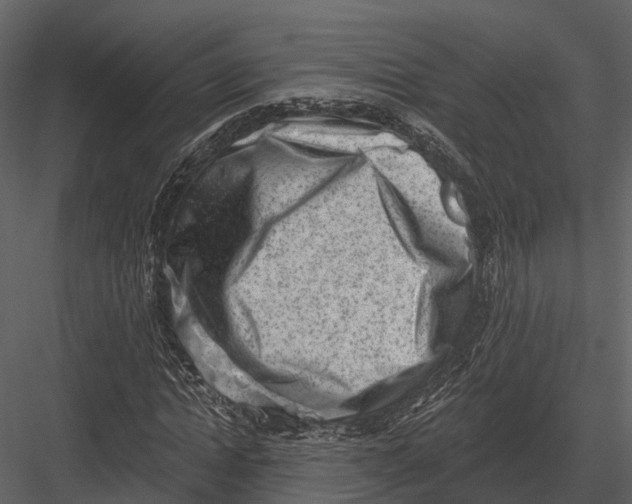 X0000082930822200702222217