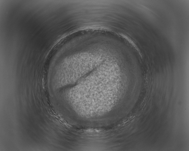 X0000082930823200702222217