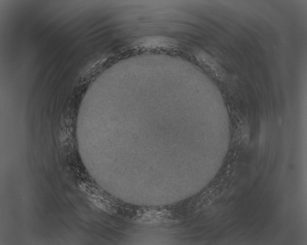 X0000082930824200702222217