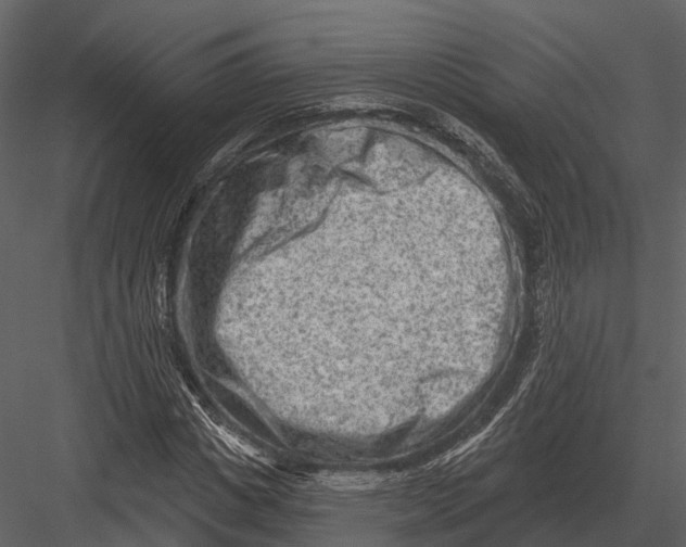 X0000082930825200702222217