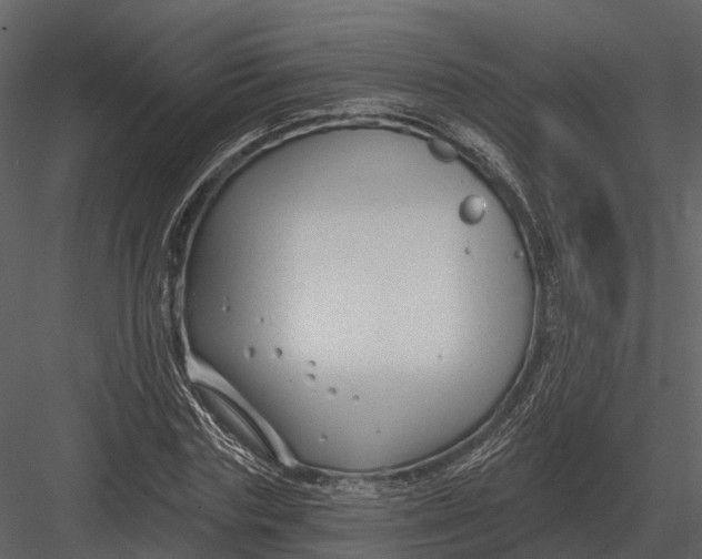 X0000082930827200702222217