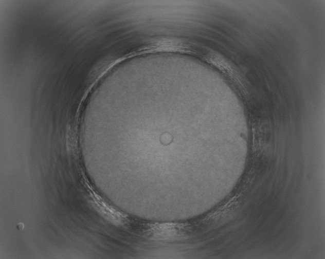 X0000082930828200702222217