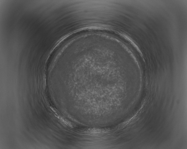 X0000082930829200702222217