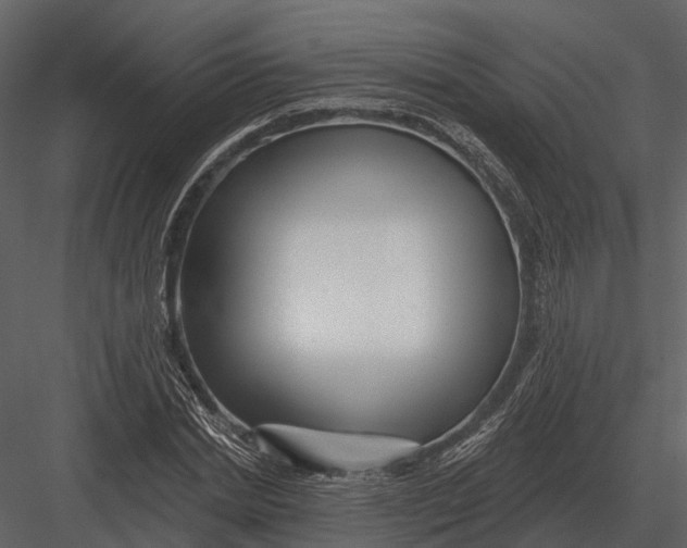 X0000082930830200702222217