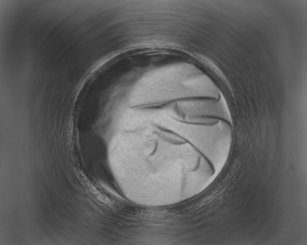 X0000082930831200702222217