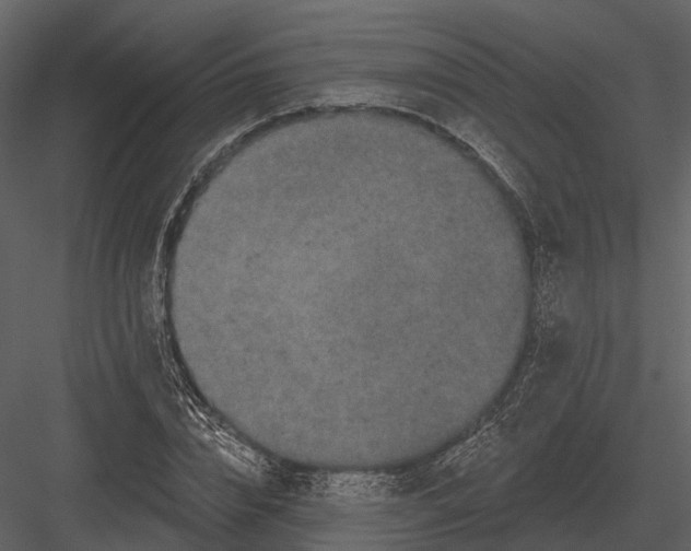 X0000082930832200702222217