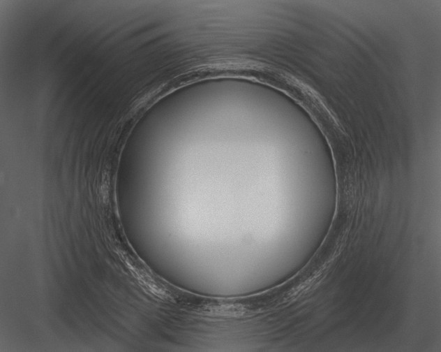 X0000082930833200702222217