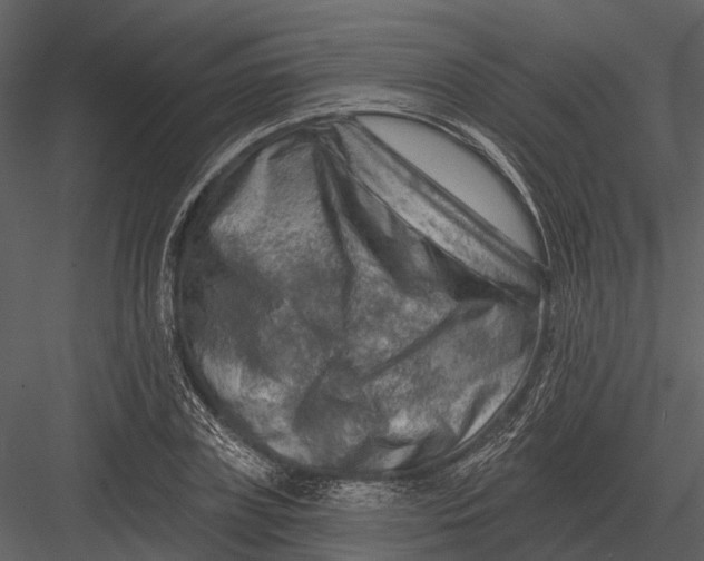 X0000082930835200702222217