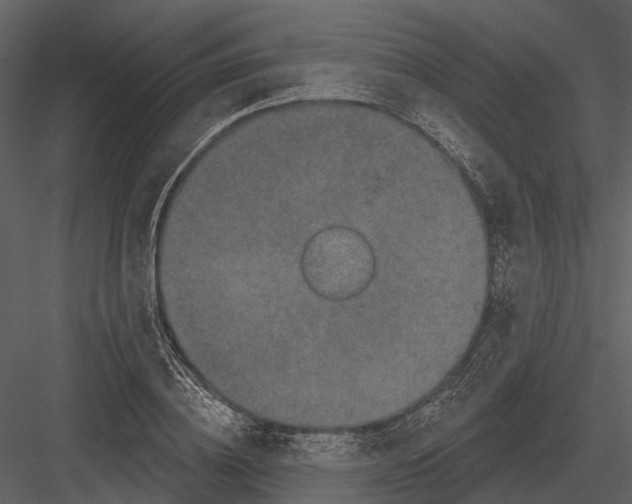 X0000082930836200702222217