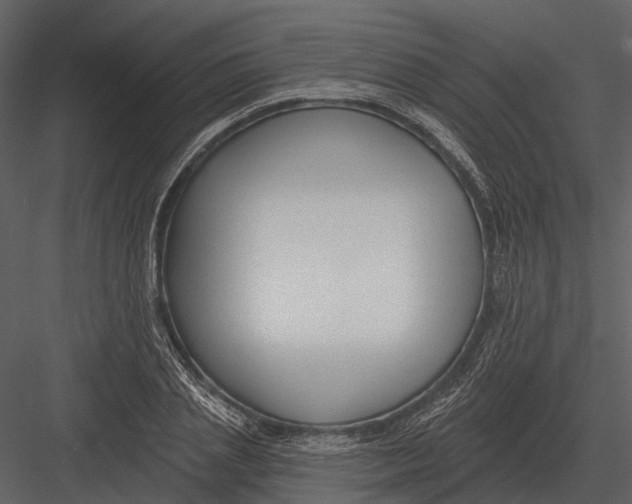 X0000082930837200702222217