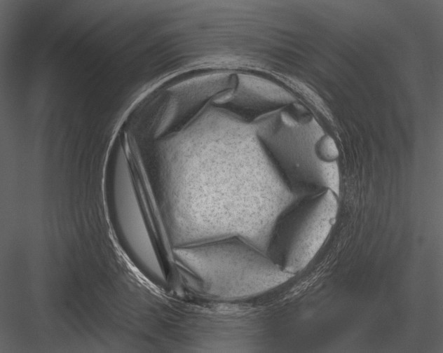 X0000082930839200702222217