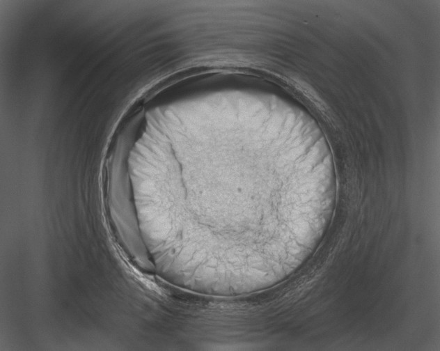 X0000082930840200702222217