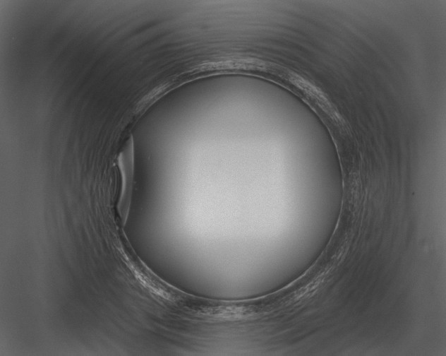 X0000082930841200702222217