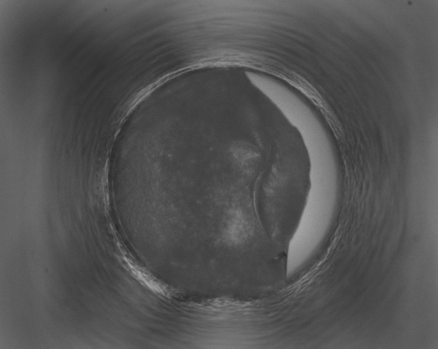 X0000082930842200702222217