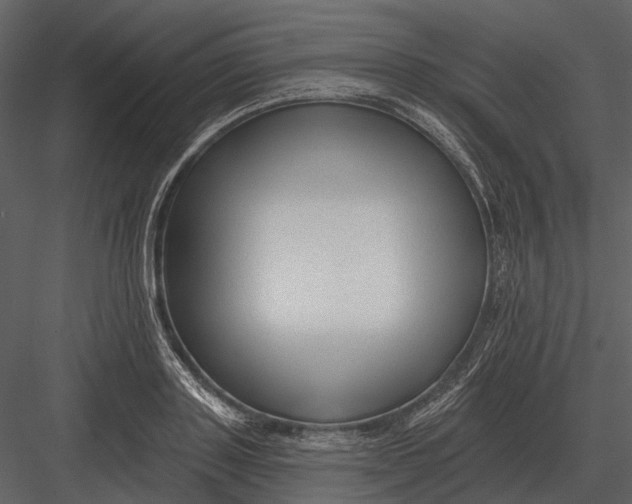 X0000082930843200702222217