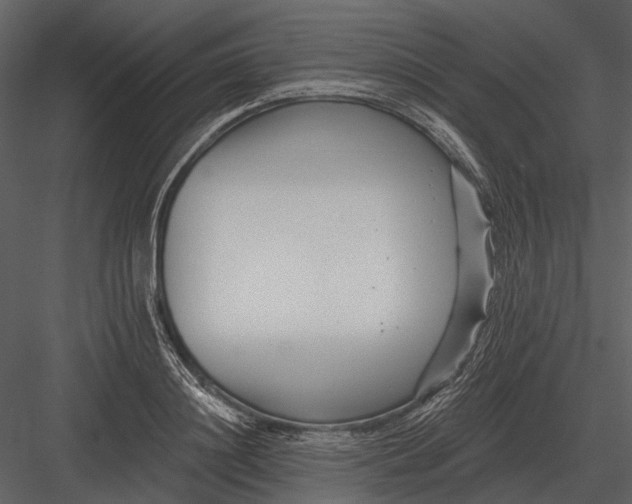 X0000082930844200702222217