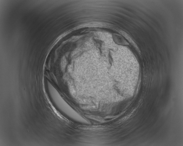 X0000082930845200702222217