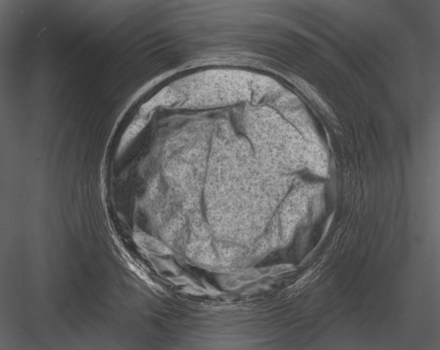 X0000082930846200702222217