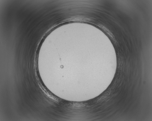 X0000082930848200702222217